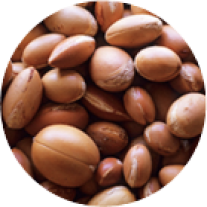 Argon Seeds
