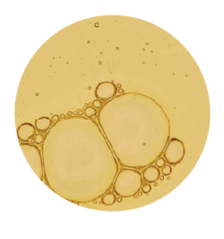 Bubbles under a microscope lens