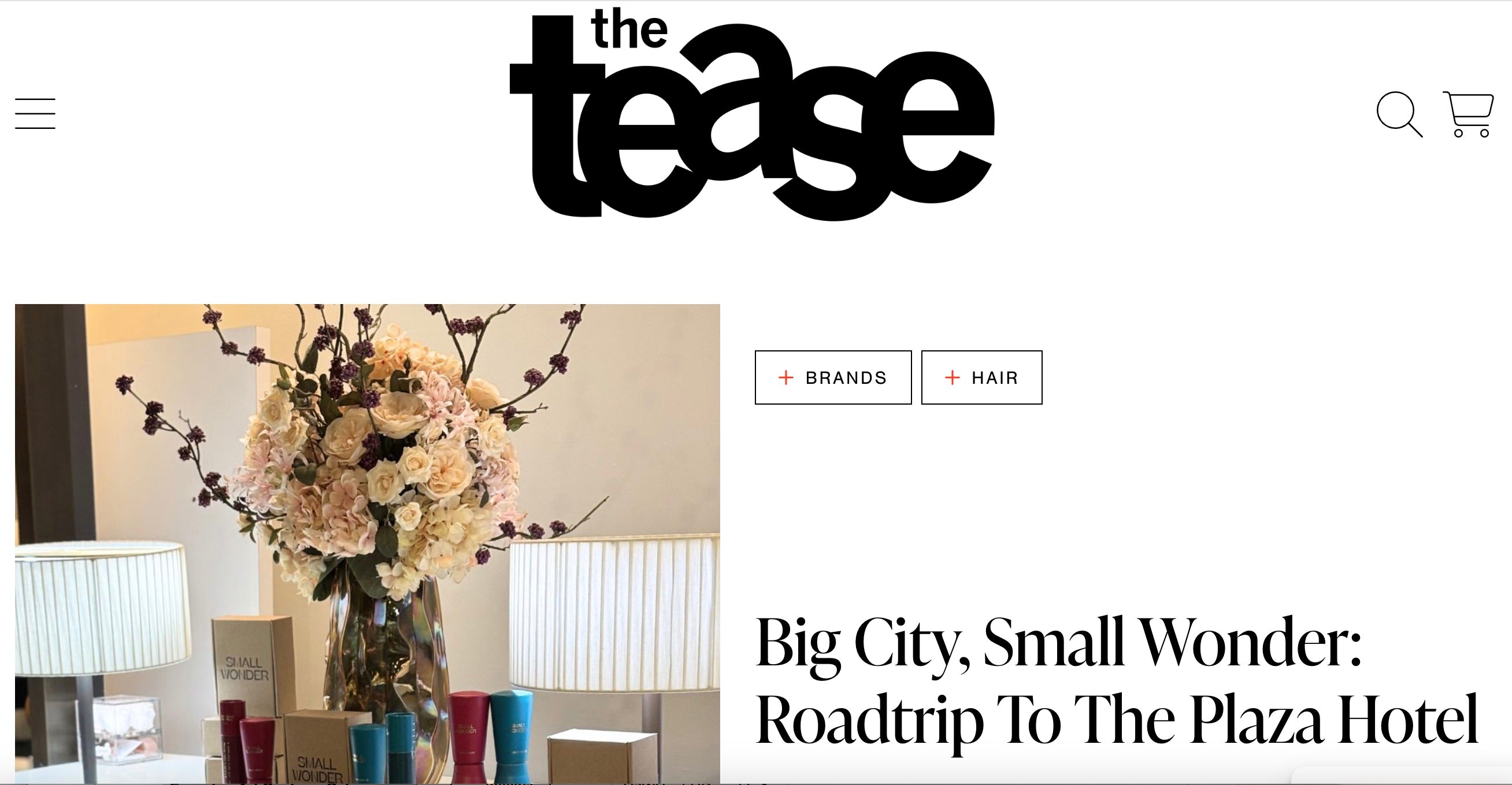 The Tease Article: "Big City, Small Wonder: Roadtrip To The Plaza Hotel"