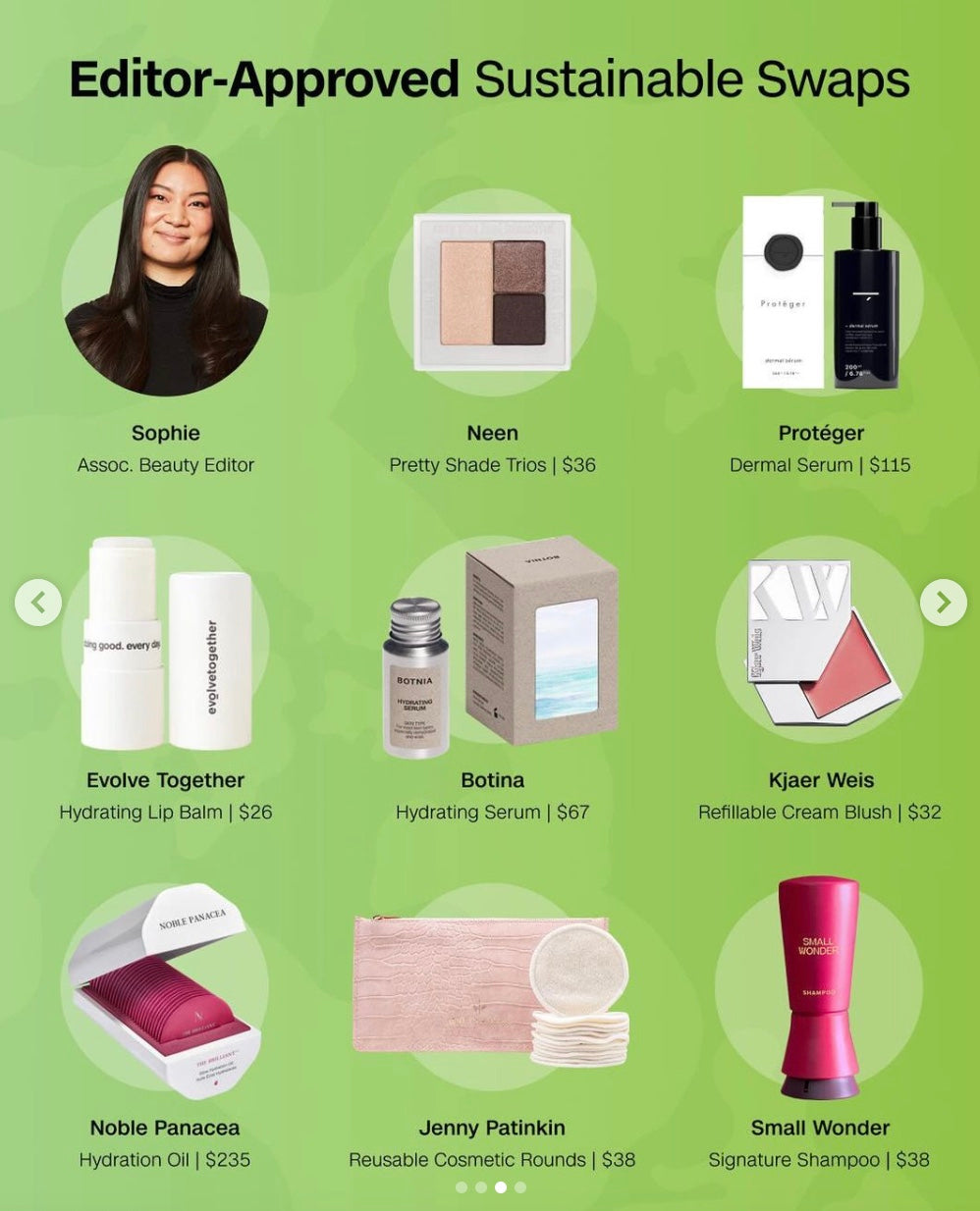 A graphic of editor-approved sustainable swaps 