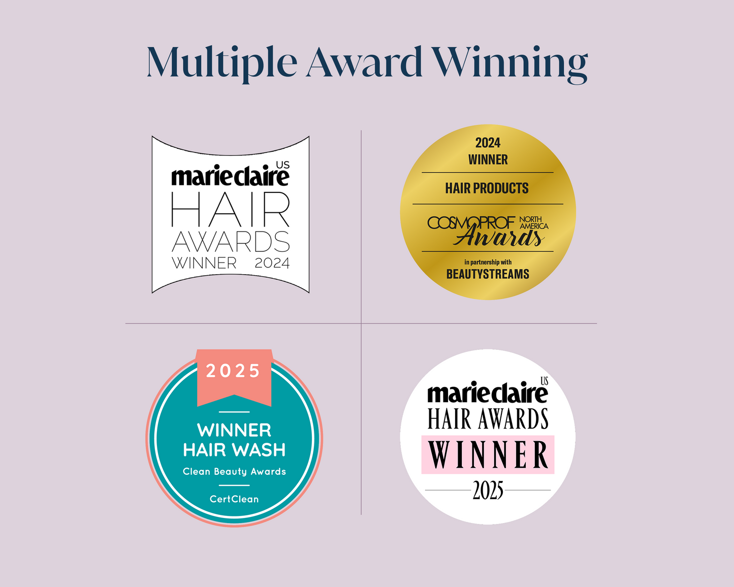 Collection of awards and badges celebrating multiple wins in hair care categories for Small Wonder