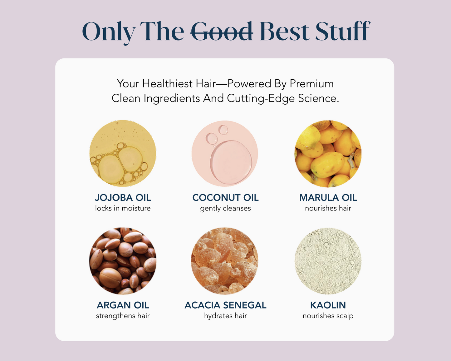 List of hair care ingredients with icons and descriptions with the headline "Only the Best Stuff."