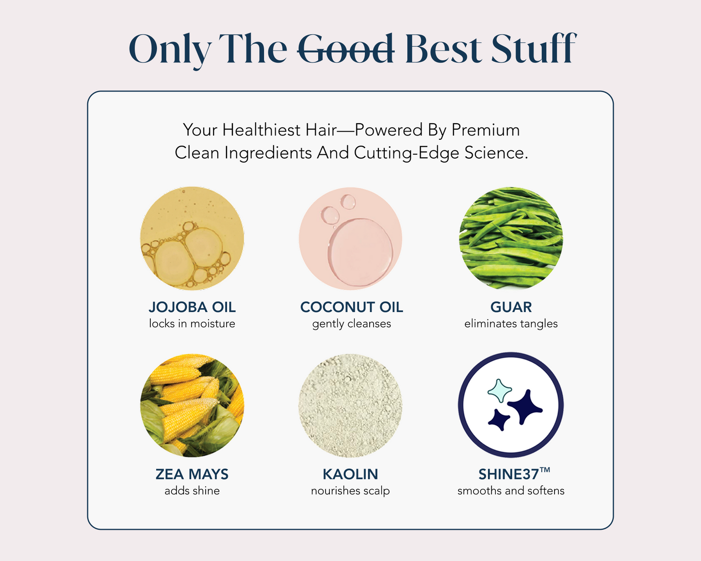 Infographic of Small Wonder ingredients and their benefits with text "Only the Best Stuff."
