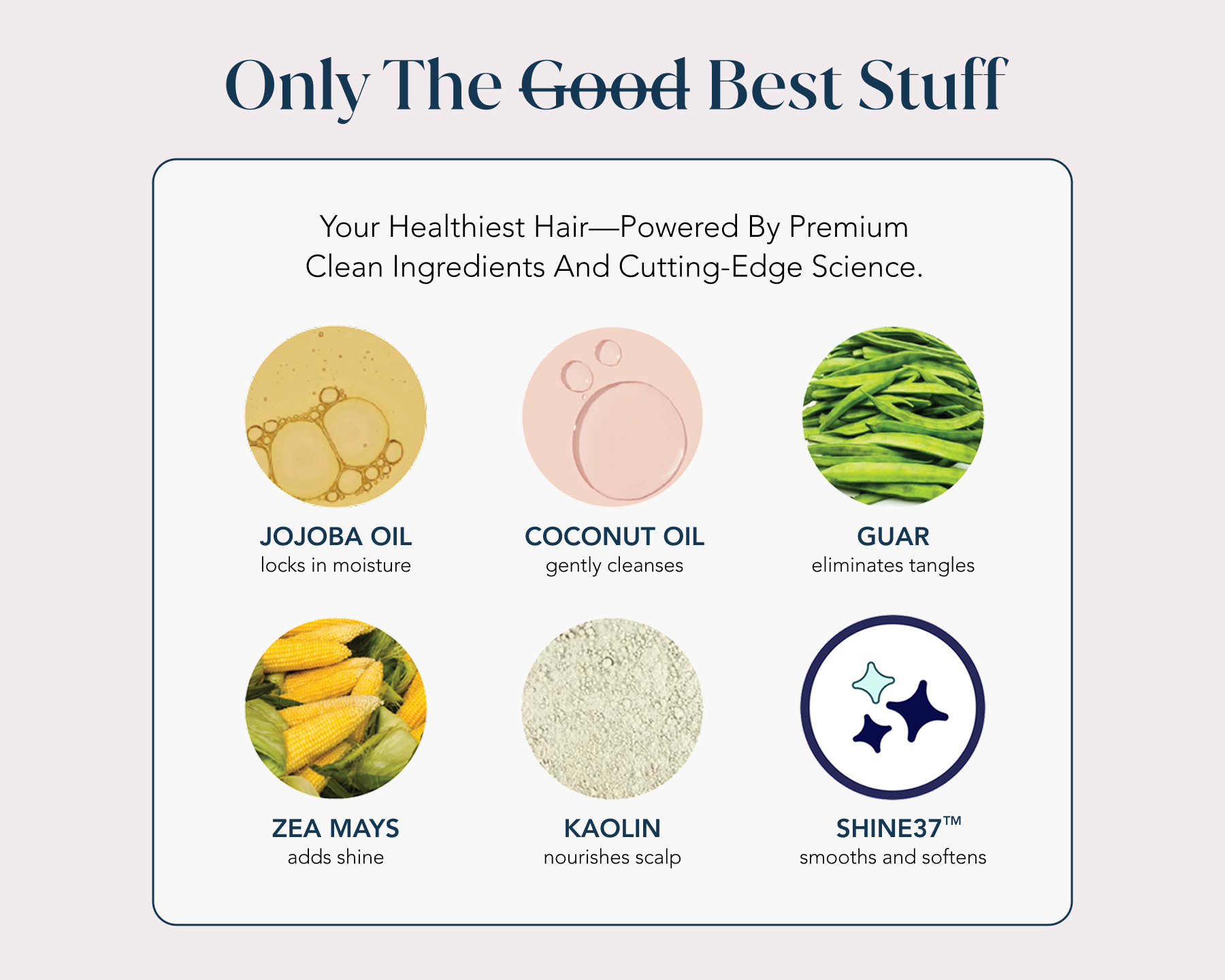 Infographic of Small Wonder ingredients and their benefits with text "Only the Best Stuff."