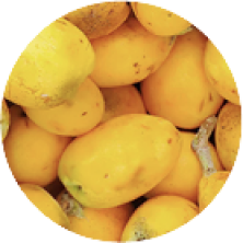 Marula fruit